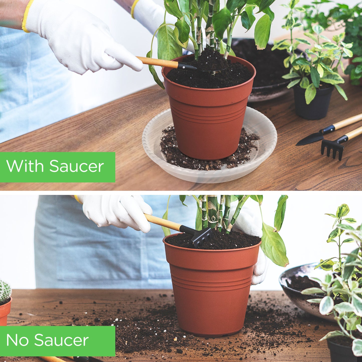 LotFancy Clear Plastic Plant Planter Saucers