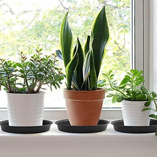 LotFancy 3 Pcs 10 in Plastic Plant Saucers, Black