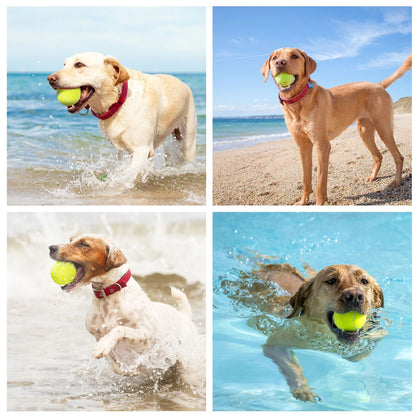 Prime Pets Tennis Balls for Dogs, 12 Pack Dog Toy Squeak Tennis Balls for for Beginner Training Ball
