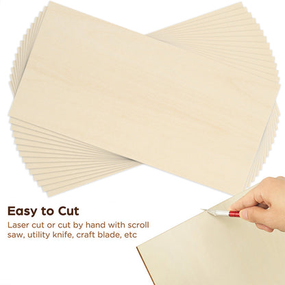 LotFancy 14pc Blank Plywood Unfinished Basswood Sheets for Crafts,12Pc 6x4x1/16 in, 2Pc 12x8x1/16 in