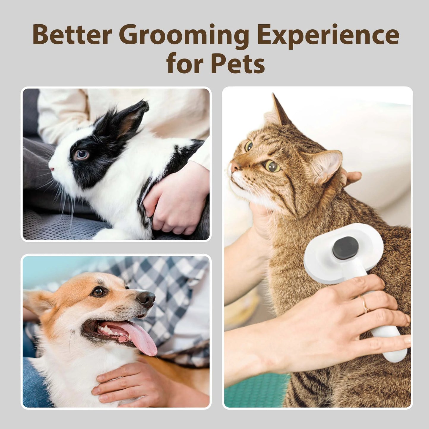 Prime Pets Cat Brush with Release Button, Self Cleaning Slicker Brush for Dog & Cat Shedding Grooming