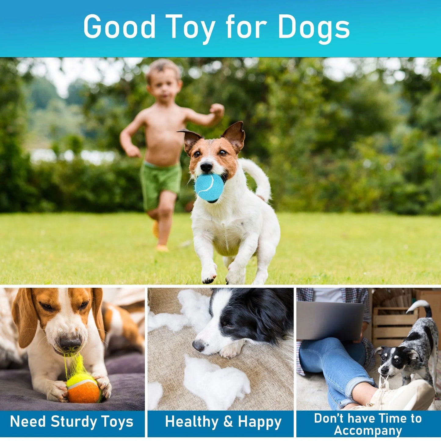 Prime Pets Tennis Balls for Dogs, 12 Pack Dog Toy Squeak Tennis Balls for for Beginner Training Ball