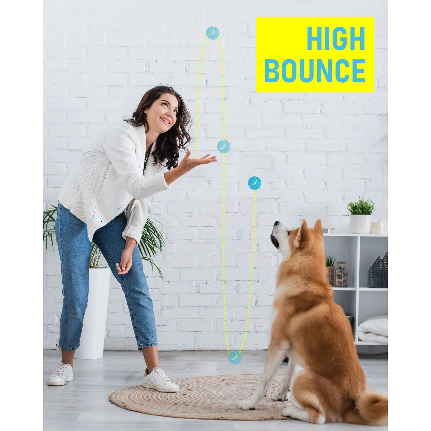 Prime Pets Tennis Balls for Dogs, 12 Pack Dog Toy Squeak Tennis Balls for for Beginner Training Ball