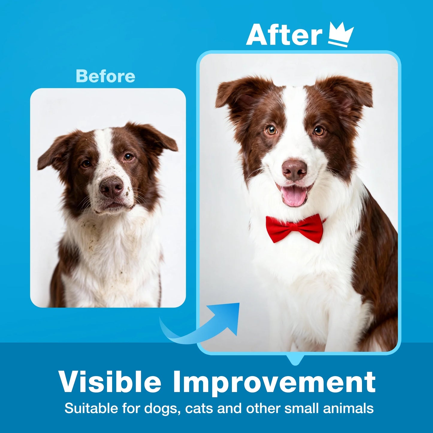 Prime Pets Pet Wipes for Dogs & Cats, 500 Ct, Dog Wipes for Paws and Butt, Deodorizing Puppy Wipes