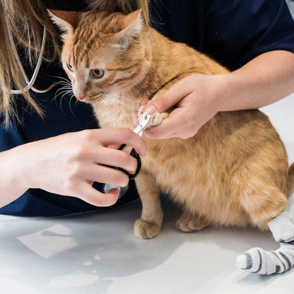 Prime Pets Cat Dog Nail Clippers with Safety Guard, Stainless Steel Cat Claw Clippers