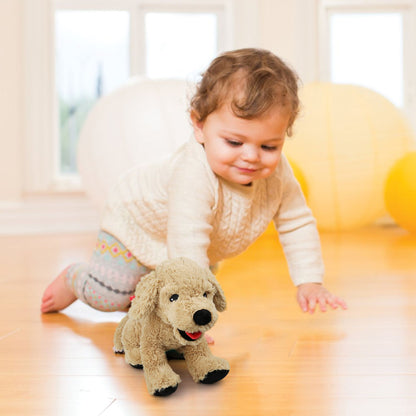 LotFancy Dog Stuffed Animals, 12" Golden Retriever Plush Toys, Puppy for Kids, Pets, Girls