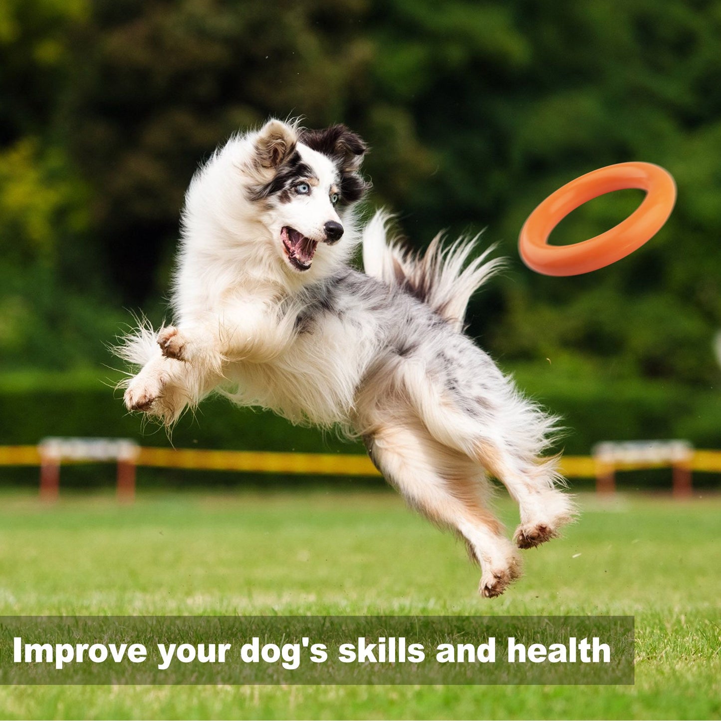 Prime Pets Dog Toys, Dog Chew Ring Toy and Interactive Food Dispensing Dog Treat Ball, Orange,Yellow