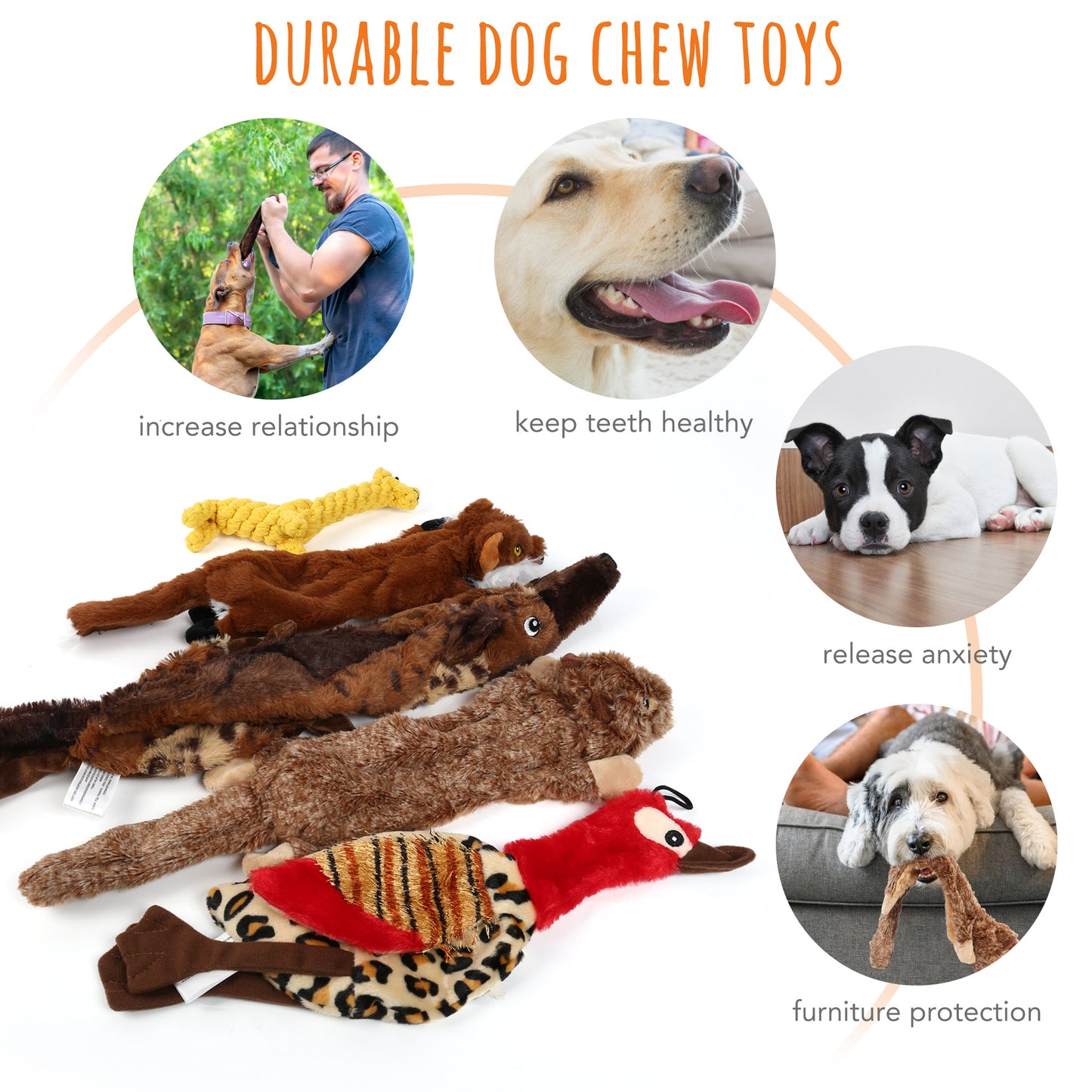 LotFancy 5 Dog Squeaky Toys for Small Dog, No Stuffing