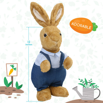 LotFancy Bunny Stuffed Animal, 12" Peter Rabbit Plush Toy for Home Decor, Gift for Kids, Boys
