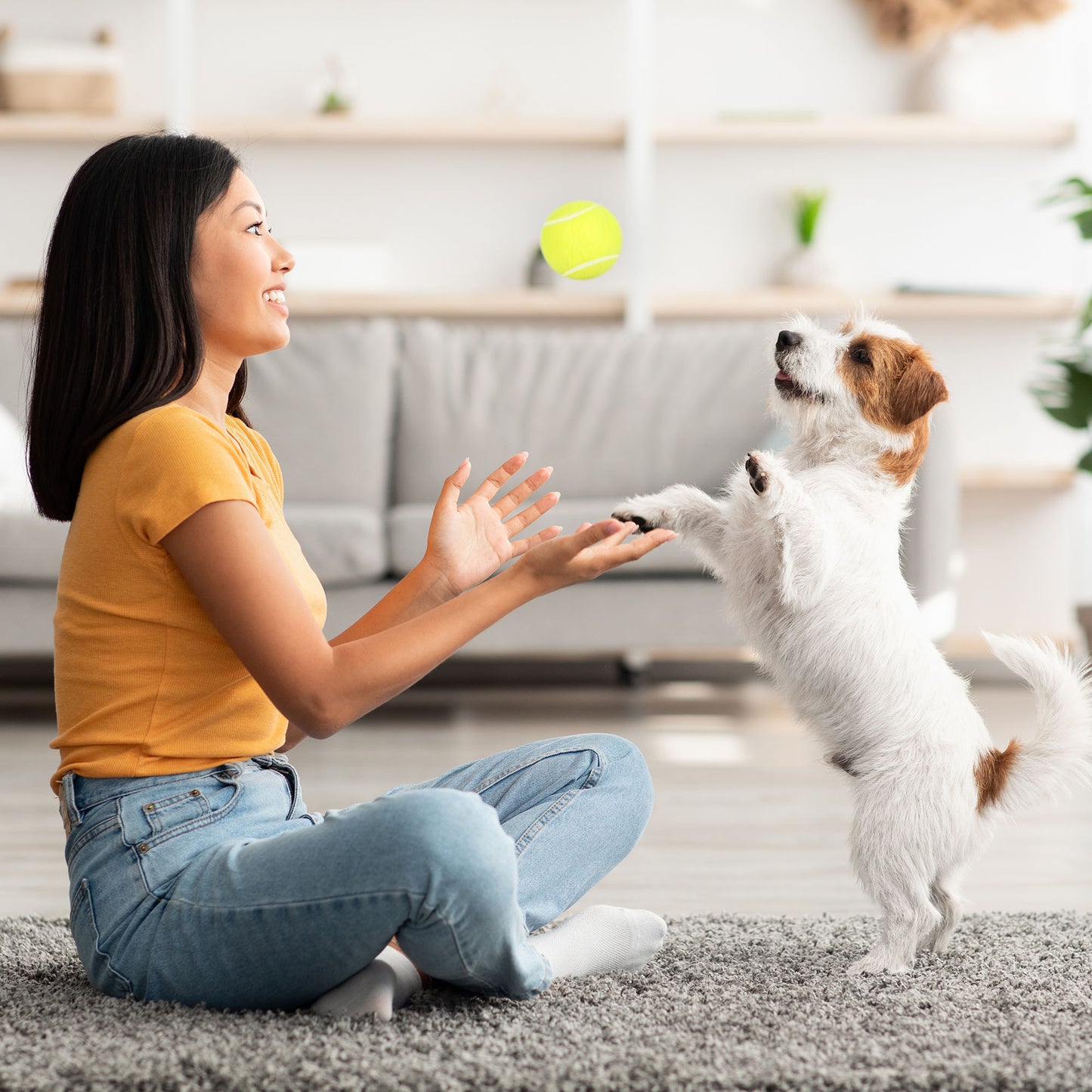 Prime Pets Tennis Balls for Dogs, 12Pack, High Elasticity Dog Toys Balls, Fetch Toy for Pet Training