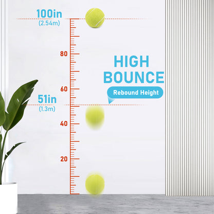 Prime Pets Tennis Balls for Dogs, 12Pack, High Elasticity Dog Toys Balls, Fetch Toy for Pet Training