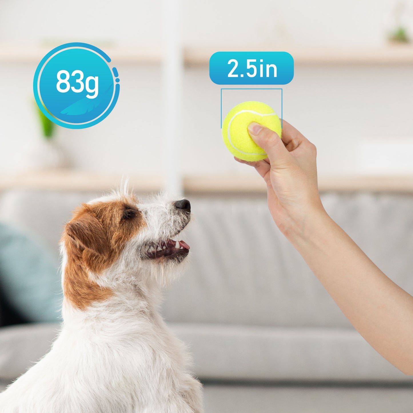 Prime Pets Tennis Balls for Dogs, 3 Pack, 2.5'' Dog Balls for Large Medium Dogs, Puppy Chew Toys