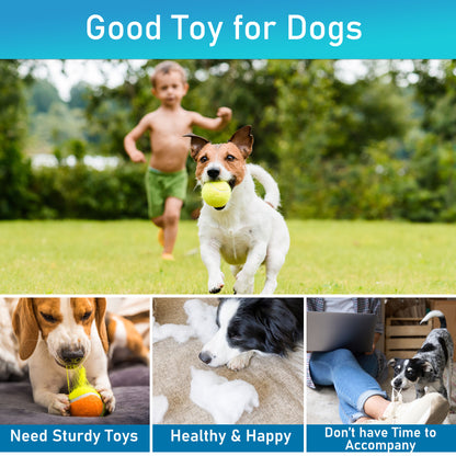 Prime Pets Tennis Balls for Dogs, 3 Pack, 2.5'' Dog Balls for Large Medium Dogs, Puppy Chew Toys
