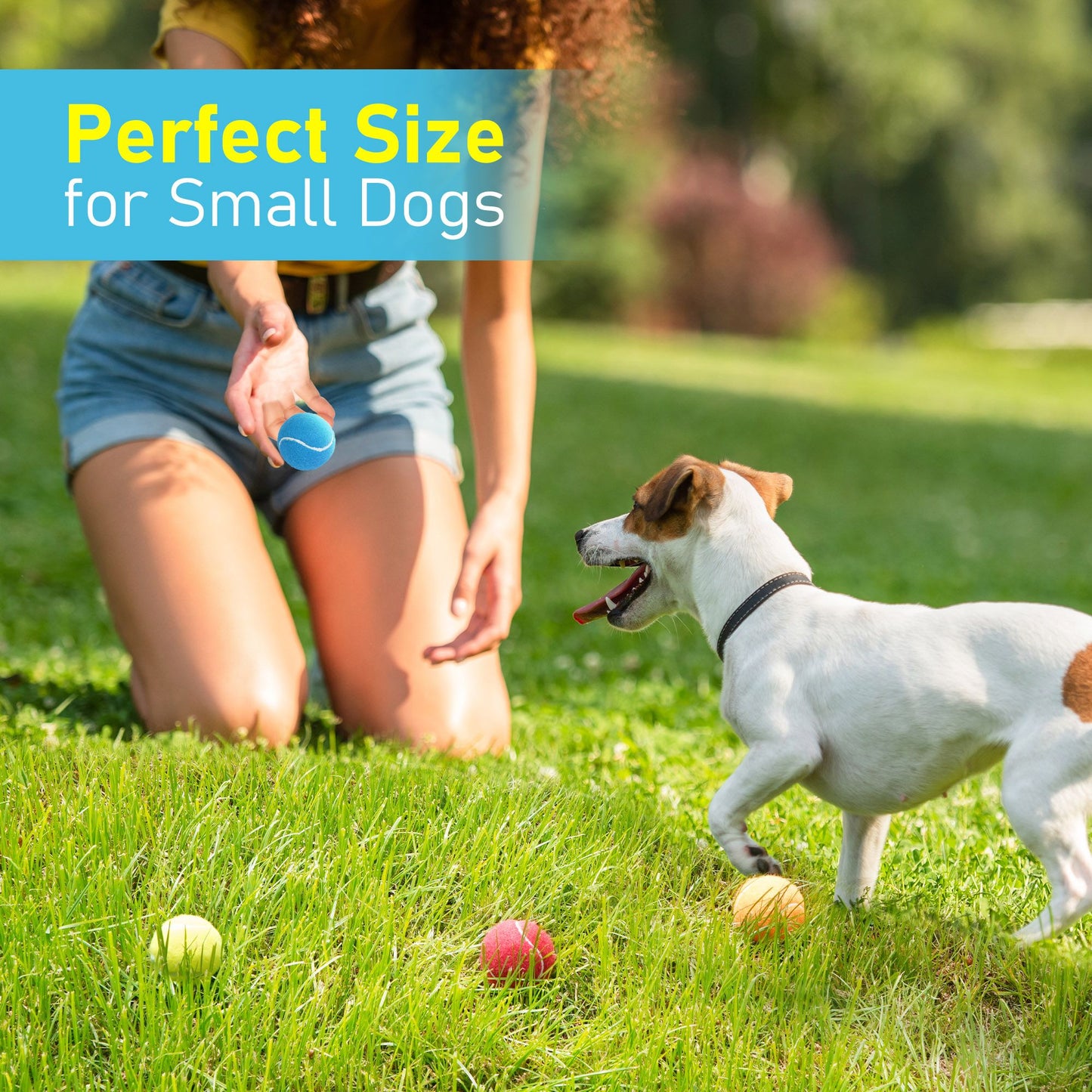 Prime Pets Tennis Balls for Dogs, 4Pack 2 in Tennis Ball with Squeaker,4 Colors:Blue Yellow Red Orange