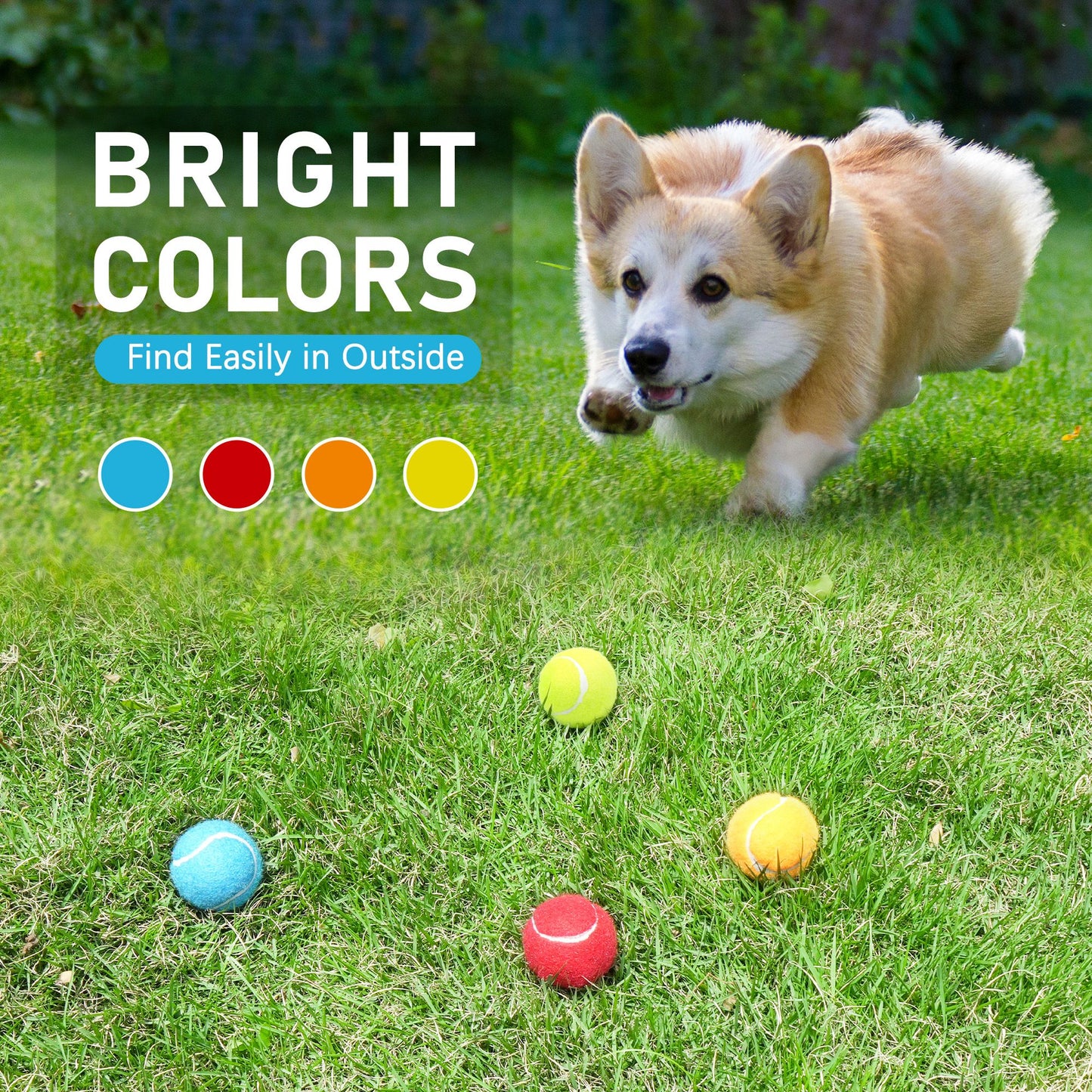 Prime Pets Tennis Balls for Dogs, 4Pack 2 in Tennis Ball with Squeaker,4 Colors:Blue Yellow Red Orange