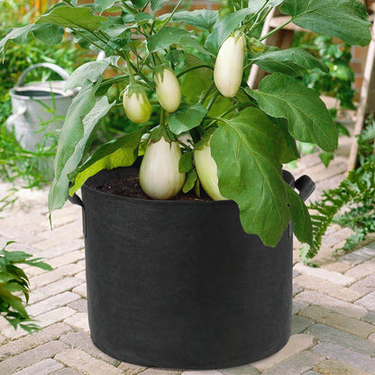 LotFancy 10 Gallon Grow Bags, Thickened Aeration Nonwoven Plant Fabric Pots with Handles, 5Pack