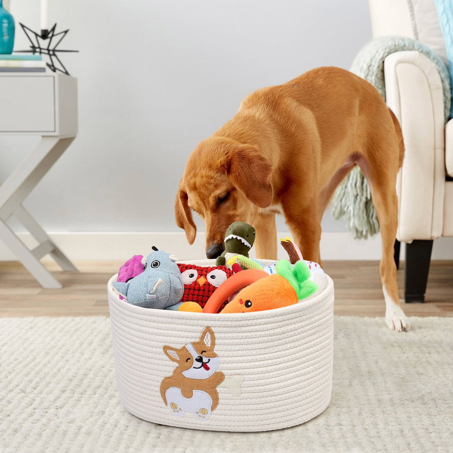 Prime Pets Cotton Rope Dog Toy Basket, Small Basket with Handles, Woven Storage Bin for Dogs Pets, 15x10x9 inch Pet Basket Container Holder for Toys PMT