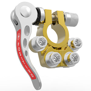 LotFancy Battery Terminal Connectors, Quick Release Disconnect Car Battery Terminal, Positive Negative for SAE/JIS Type A Posts