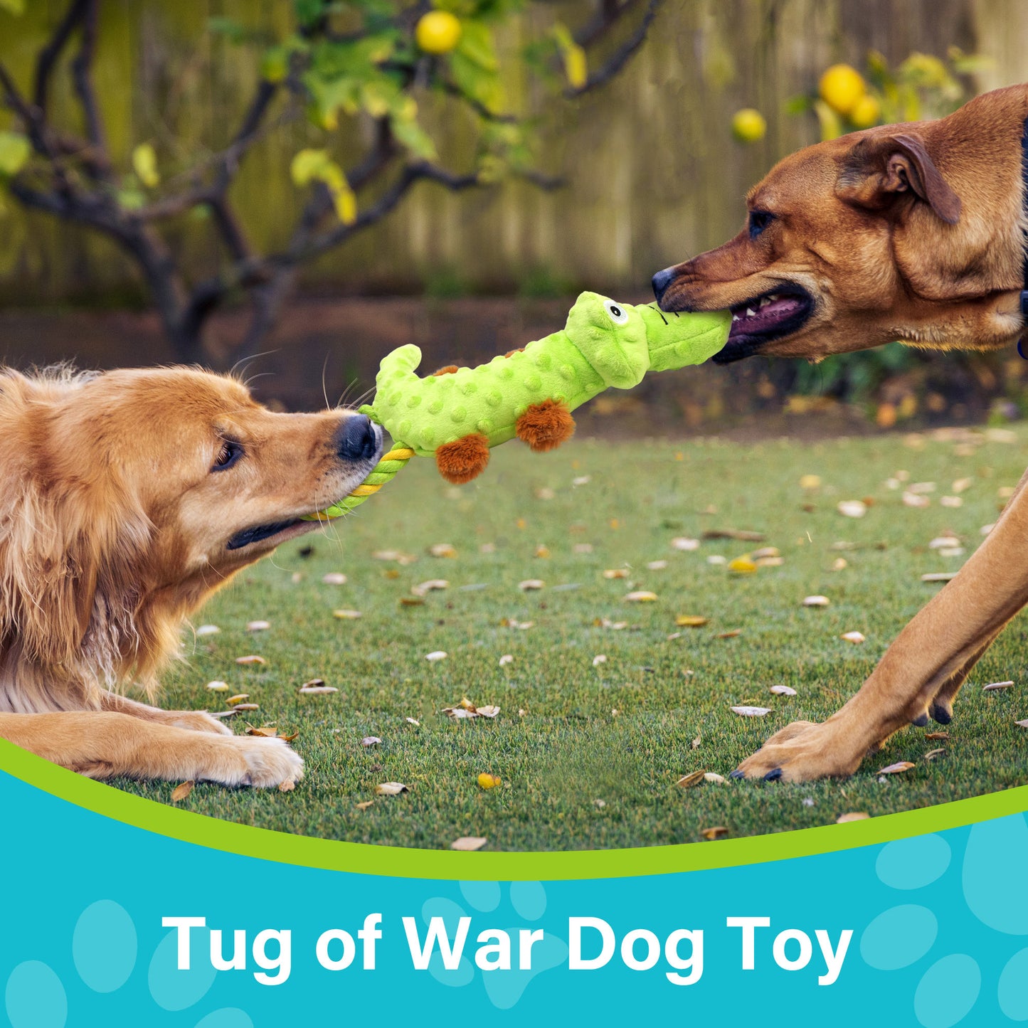 Prime Pets Squeaky Dog Toys, Tug of War Puppy Toys, 2 Pack Plush Dog Chew Toys for Small, Large Dogs