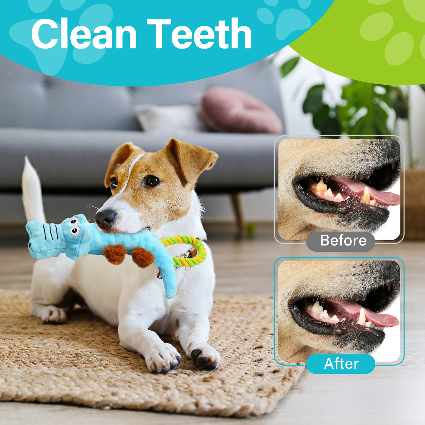 Prime Pets Squeaky Dog Toys, Tug of War Puppy Toys, 2 Pack Plush Dog Chew Toys for Small, Large Dogs