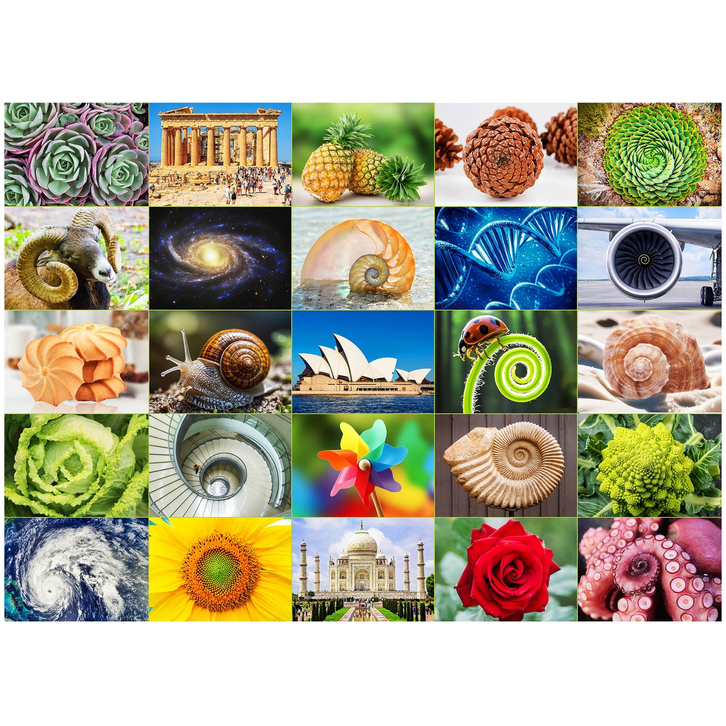 BenBen Jigsaw Puzzles 1000 Pieces for Adults Ages 12+, Spiral Design, 26.63 x 19.25 in