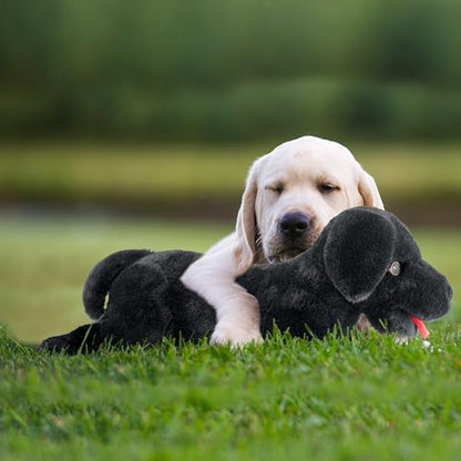 LotFancy Dog Stuffed Animal, 26 inch Black Lab Plush Dog, Realistic Stuffed Dog, Puppy Plush Toy for Kids