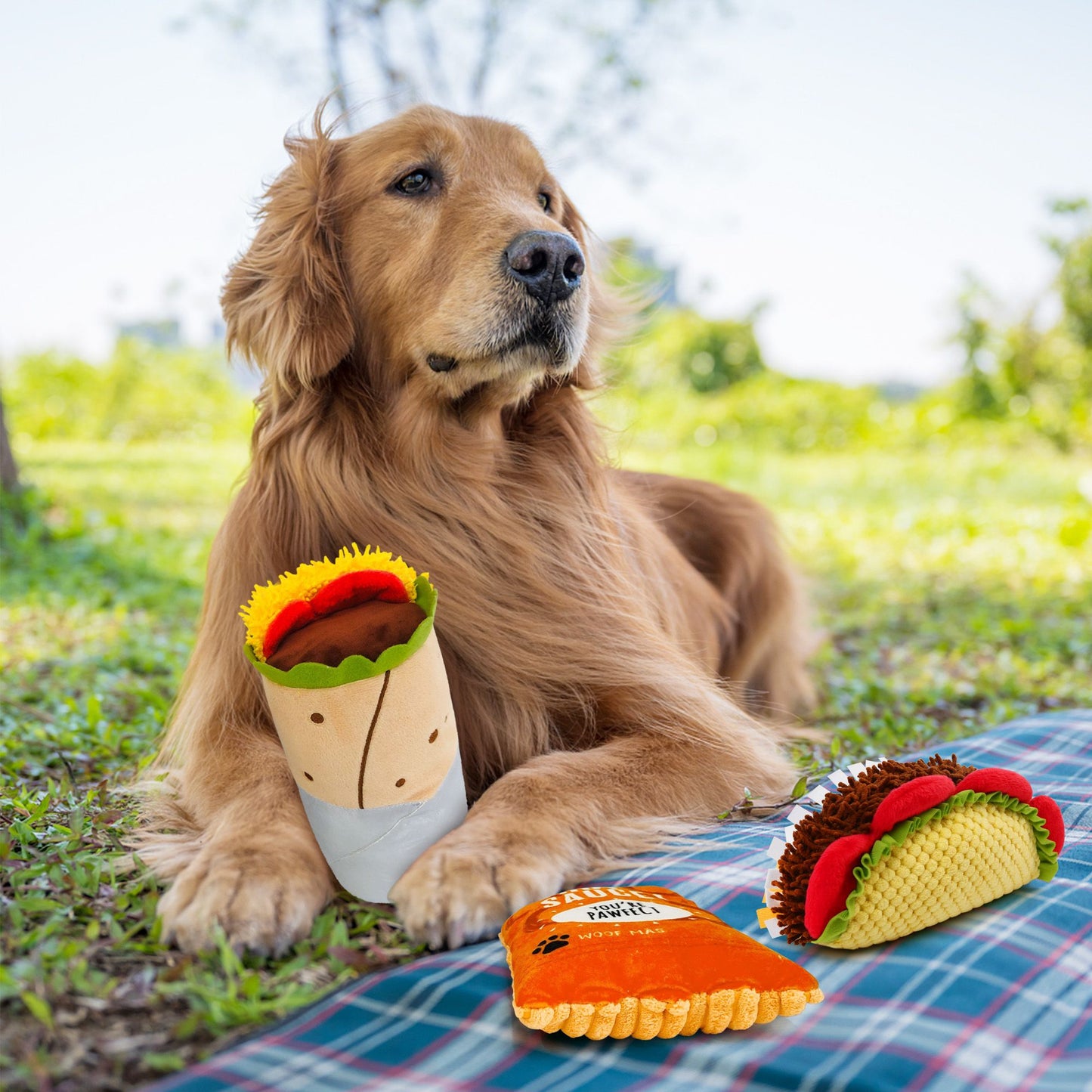 Prime Pets 3Pcs Plush Dog Toy Set, Cute Taco Dog Squeaky Toys for Small Medium Dogs