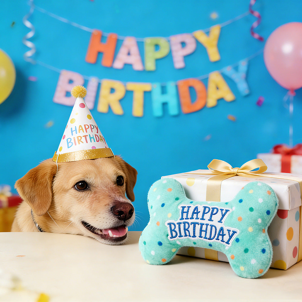 Prime Pets Dog Birthday Toys, Plush Dog Squeaky Toys, Dog Chew Toys Bone for Small Medium Large Dogs