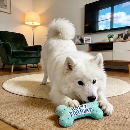 Prime Pets Dog Birthday Toys, Plush Dog Squeaky Toys, Dog Chew Toys Bone for Small Medium Large Dogs