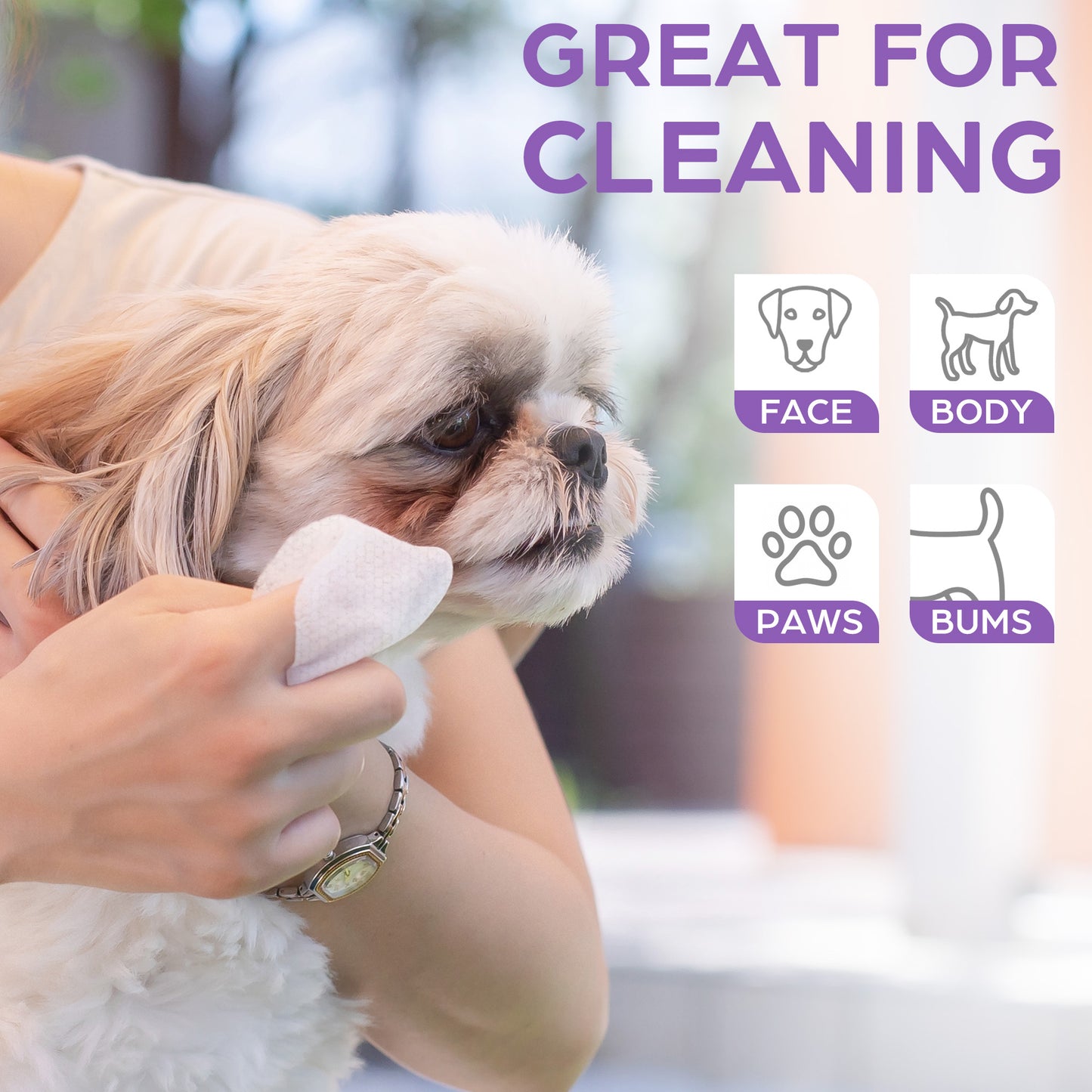 Prime Pets Pet Grooming Wipes for Dogs Cats, 8x8 in Jumbo Deodorizing Wipes, Lavender Scented,100 Ct