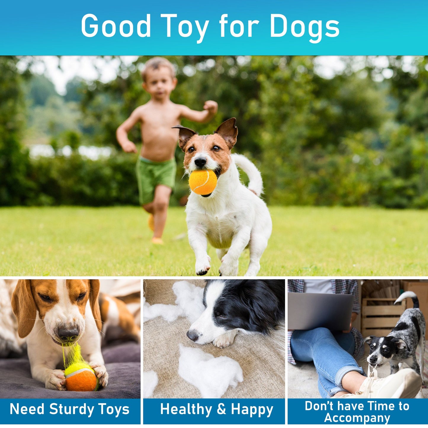 Prime Pets Tennis Balls for Dogs, 3Pc 2.5'' Dog Squeaky Balls, Puppy Chew Toys, Orange WMT