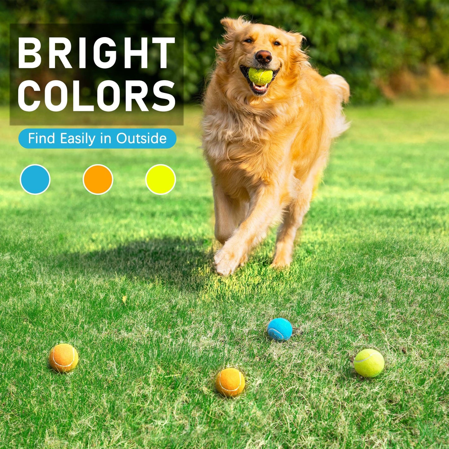Prime Pets Tennis Balls for Dogs, 6Pack 2.5 in Tennis Ball with Squeaker for Pet Dog, 2Yellow + 2Light Blue + 2Orange