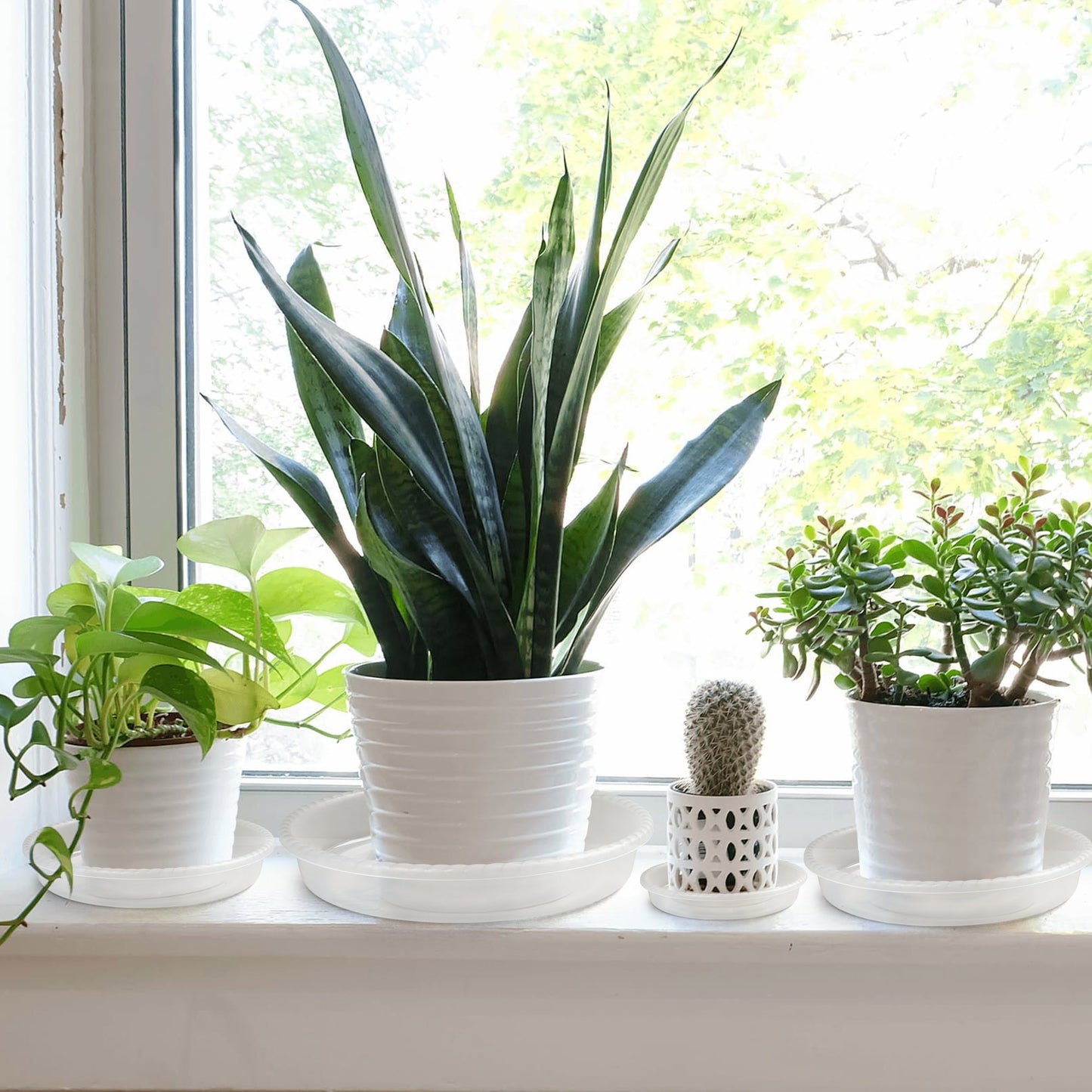 LotFancy Clear Plastic Plant Planter Saucers