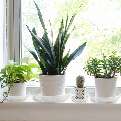 LotFancy Clear Plastic Plant Planter Saucers