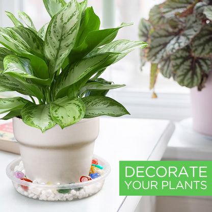 LotFancy Clear Plastic Plant Planter Saucers