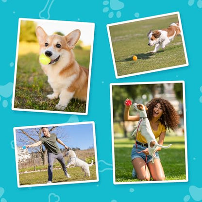 Prime Pets Tennis Balls for Dogs, Squeaky Dog Toy, Interactive Pet Fetch Ball for Medium and Large Dogs, Squeaky Dog Toys