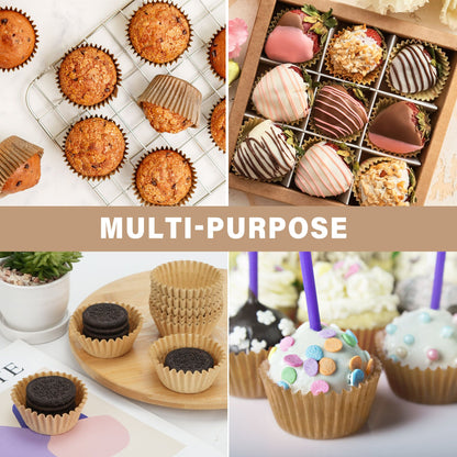 LotFancy Heavy Duty Cupcake Liners, 200 Ct Grease-Resistant Standard Muffin Liners, Paper Baking Cup