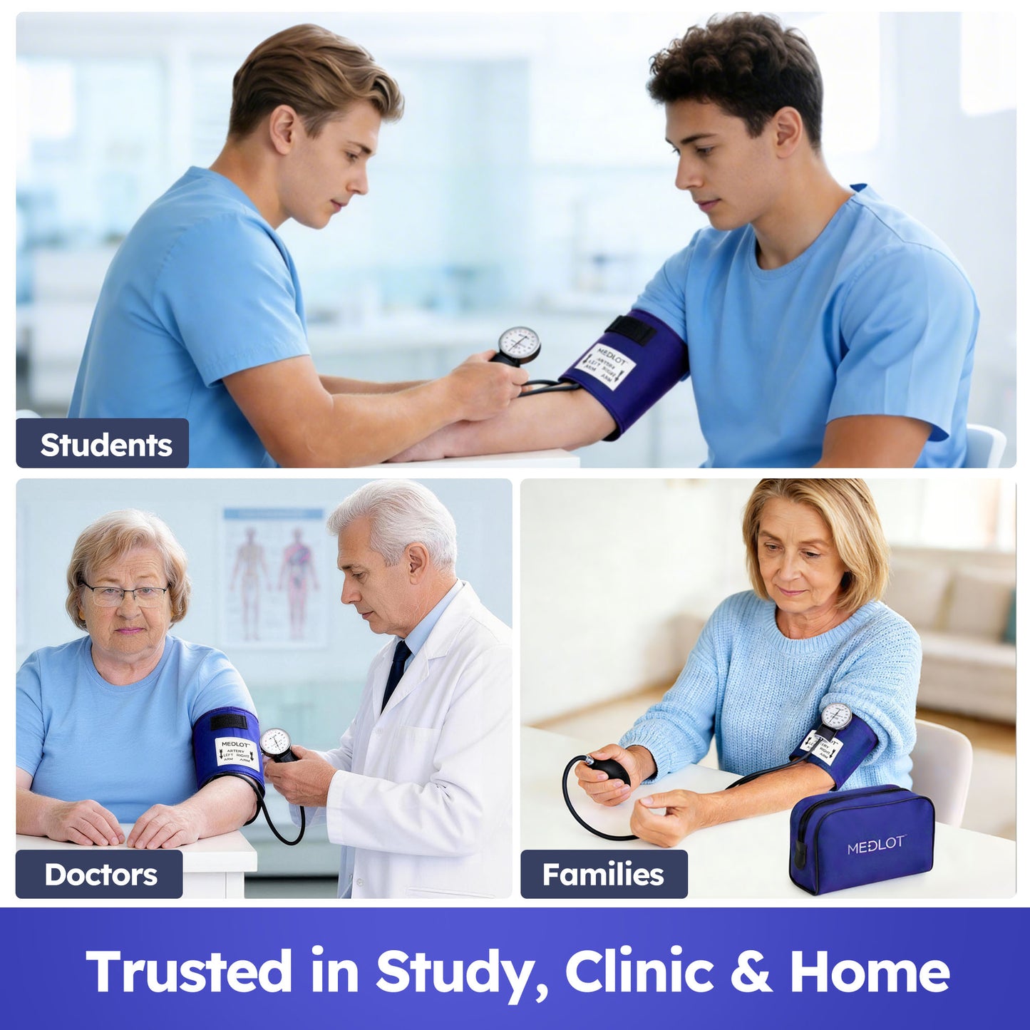 LotFancy Aneroid Sphygmomanometer, Manual Blood Pressure Cuff with D-Ring, BP Cuff 10"-16",Blue