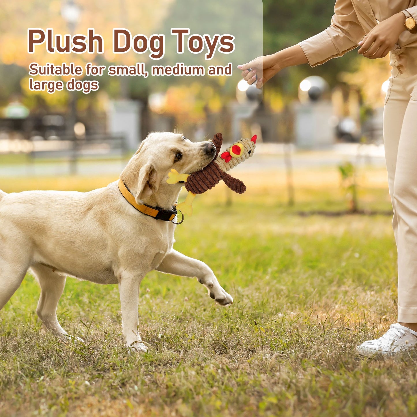 Prime Pets Dog Toys, 5 Pack, Squeaky Plush Dog Chew Toys Gift for Small Medium Large Dogs, Puppy