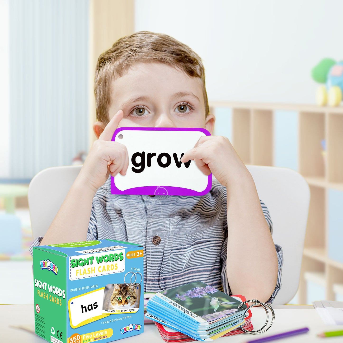 BenBen Sight Words Flash Cards, 350 Dolch & Fry High Frequency Site Words  WMT