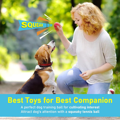 Prime Pets Tennis Balls for Dogs, Squeaky Dog Toy, Interactive Pet Fetch Ball for Medium and Large Dogs, Squeaky Dog Toys