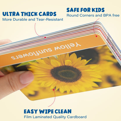 BenBen Toddlers Flash Cards for 1-4 Years, 250 Images 8 Topics, Alphabet Shape, Color, Double-SidedBenBen Toddlers Flash Cards for 1-4 Years, 250 Images 8 Topics, Alphabet Shape, Color, Double-Sided