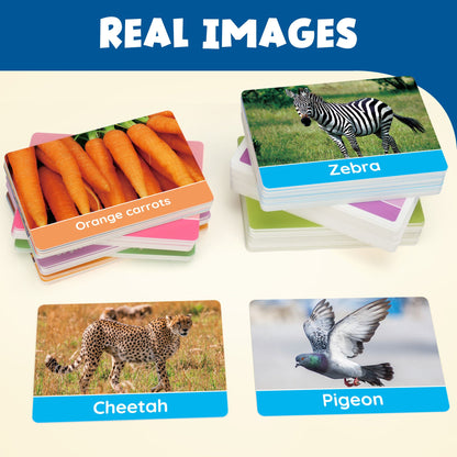 BenBen Toddlers Flash Cards for 1-4 Years, 250 Images 8 Topics, Alphabet Shape, Color, Double-SidedBenBen Toddlers Flash Cards for 1-4 Years, 250 Images 8 Topics, Alphabet Shape, Color, Double-Sided