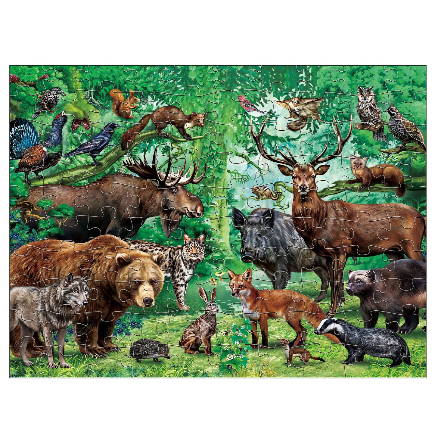 BenBen Double-Sided Jigsaw Puzzles 100 Pieces for Kids 4-8, Jungle Animal Puzzle Toys for Boys Girls