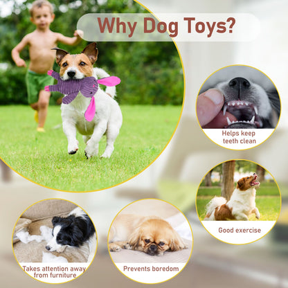Prime Pets Dog Toys, 5 Pack, Squeaky Plush Dog Chew Toys Gift for Small Medium Large Dogs, Puppy