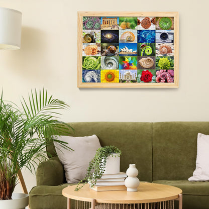 BenBen 1000 Piece Puzzle for Adults, 25 Fibonacci Spirals in Nature, Jigsaw Puzzles with Letters on Back, Challenging Puzzle for Game Night Home Décor