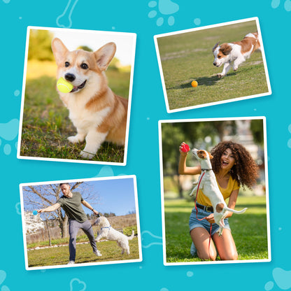 Prime Pets Tennis Balls for Dogs, Squeaky Dog Toy, Interactive Pet Fetch Ball for Medium and Large Dogs, Squeaky Dog Toys