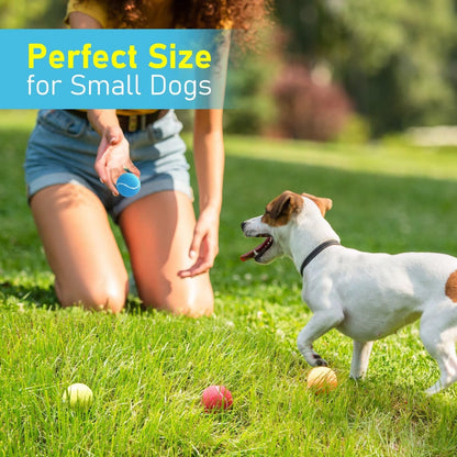 Prime Pets Tennis Balls for Dogs, Squeaky Dog Toy, Interactive Pet Fetch Ball for Medium and Large Dogs, Squeaky Dog Toys