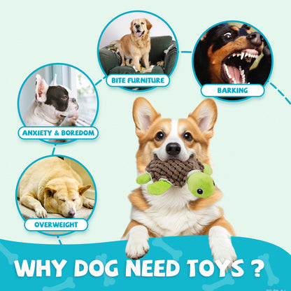 Prime Pets Dog Squeaky Toy, 5pcs Assortment Pet Toys, Plush Dog Chew Toys for Small Medium Large Dog