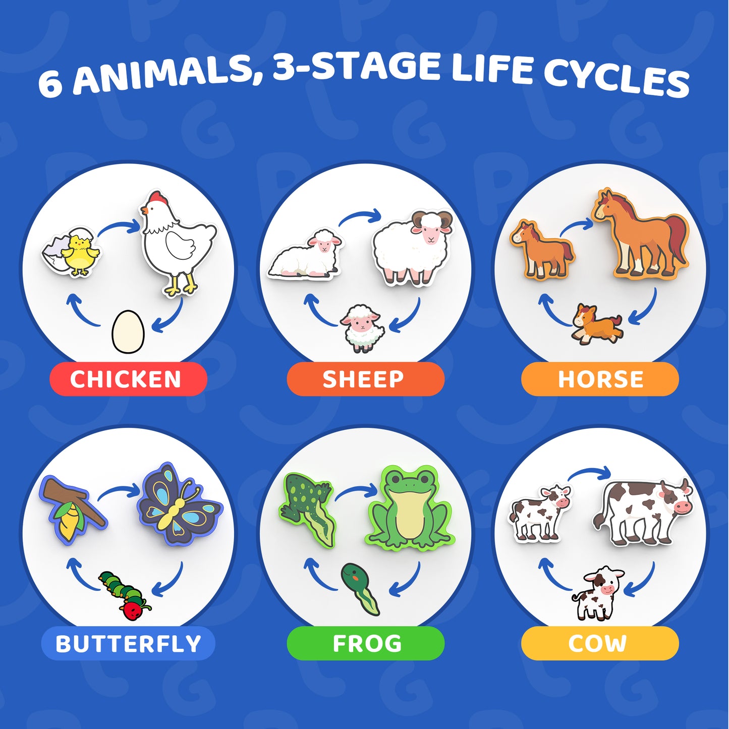 BenBen Wooden Puzzles for Toddlers 1-3, Life Cycle Animal Toddler Puzzles, Montessori Toys